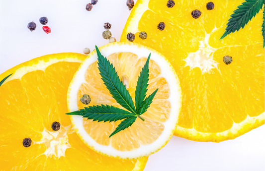 Importance of Terpenes and the Entourage Effect in CBD Products